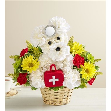 Cure-All Doggie&trade;